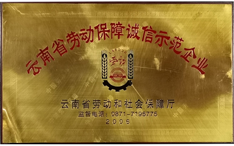 云南省勞動保障誠信示范企業（2006年）