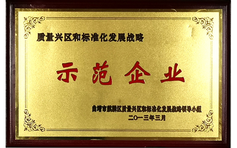 質量興區和標準化發展戰略示范企業（2013年）